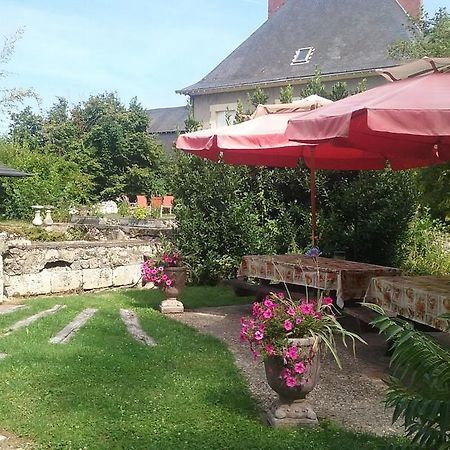 Bed and Breakfast Le Moulin Du Modon Proche Du Zooparc De Beauval Couffy Exterior foto