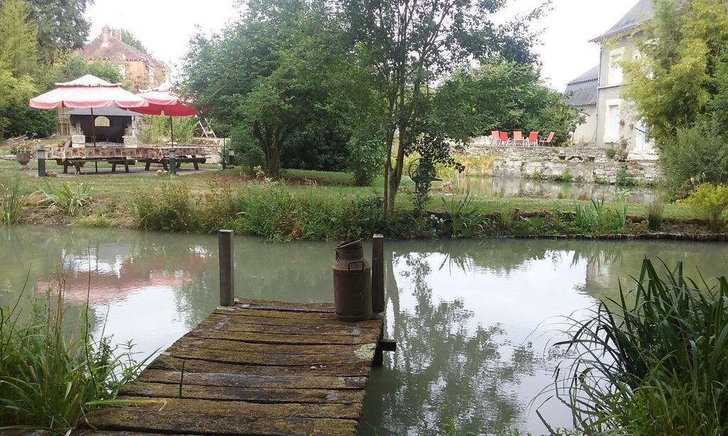Bed and Breakfast Le Moulin Du Modon Proche Du Zooparc De Beauval Couffy Exterior foto