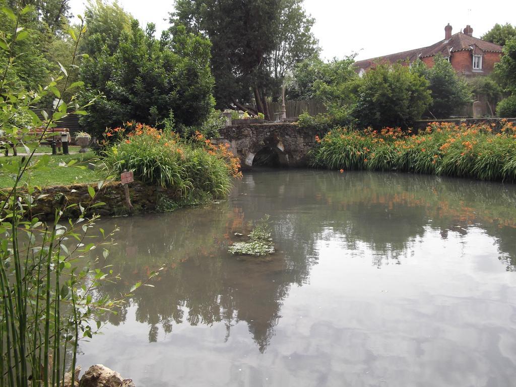 Bed and Breakfast Le Moulin Du Modon Proche Du Zooparc De Beauval Couffy Exterior foto